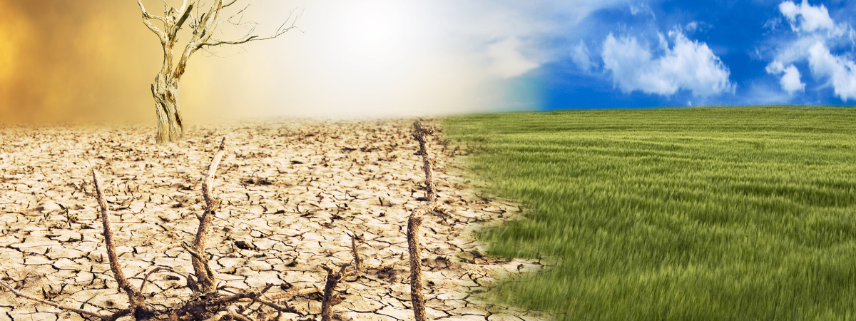 Small Shifts, Big Change: An Excerpt from Everyday Habits for Transforming Systems