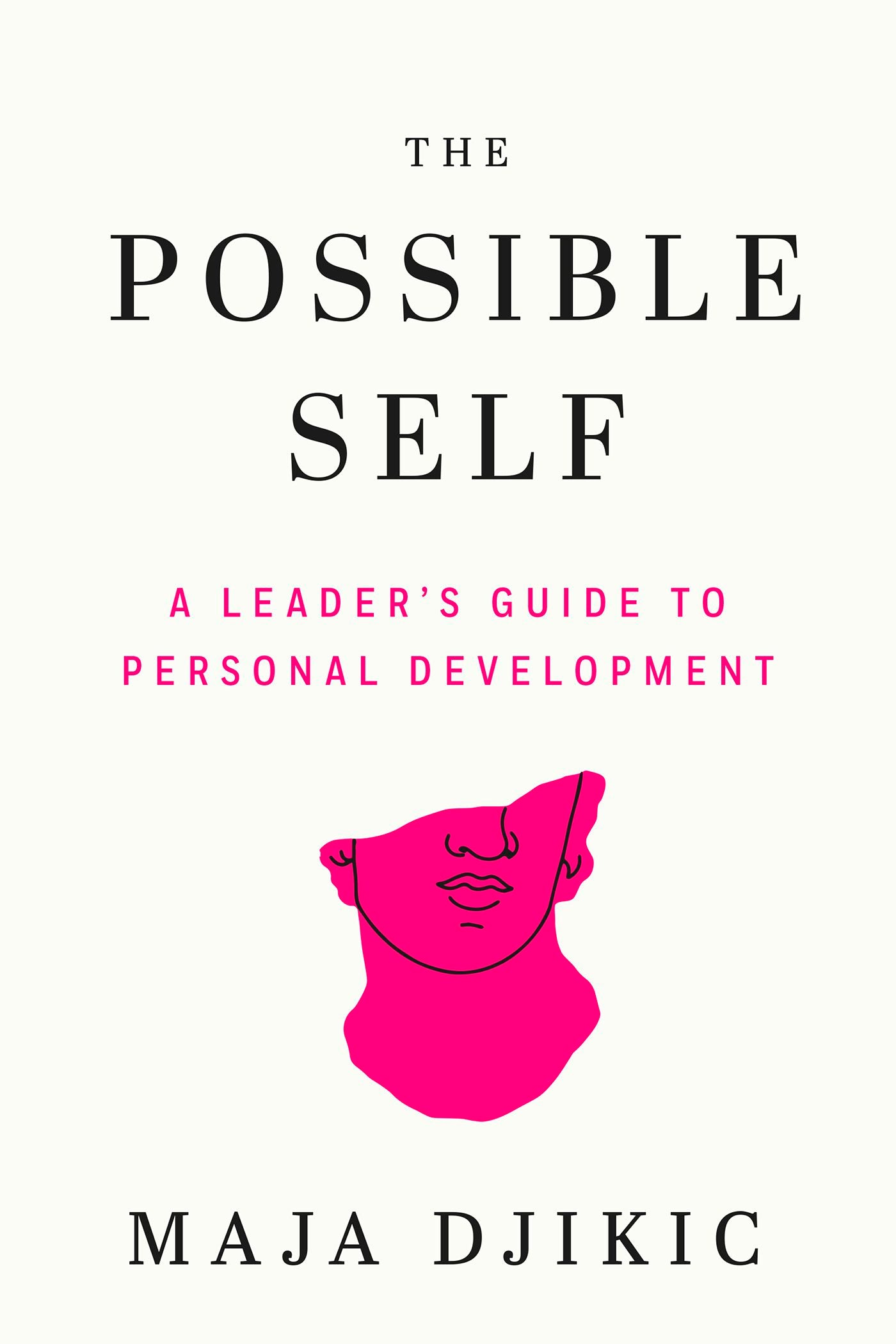 Cover image for The Possible Self, isbn: 9781523006014