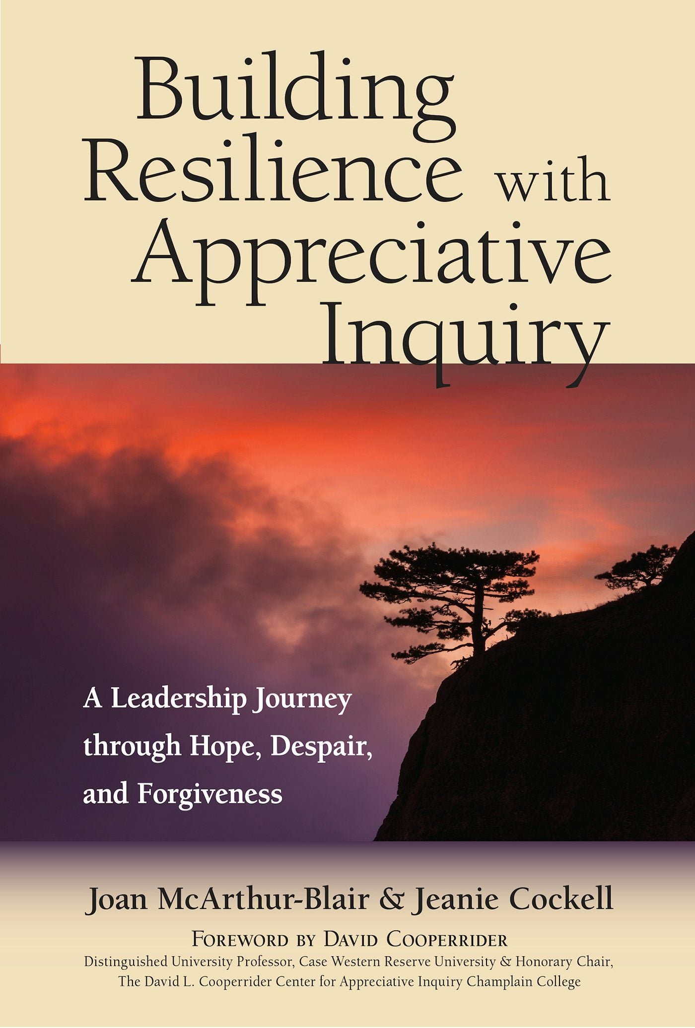 Cover image for Building Resilience with Appreciative Inquiry, isbn: 9781523082551
