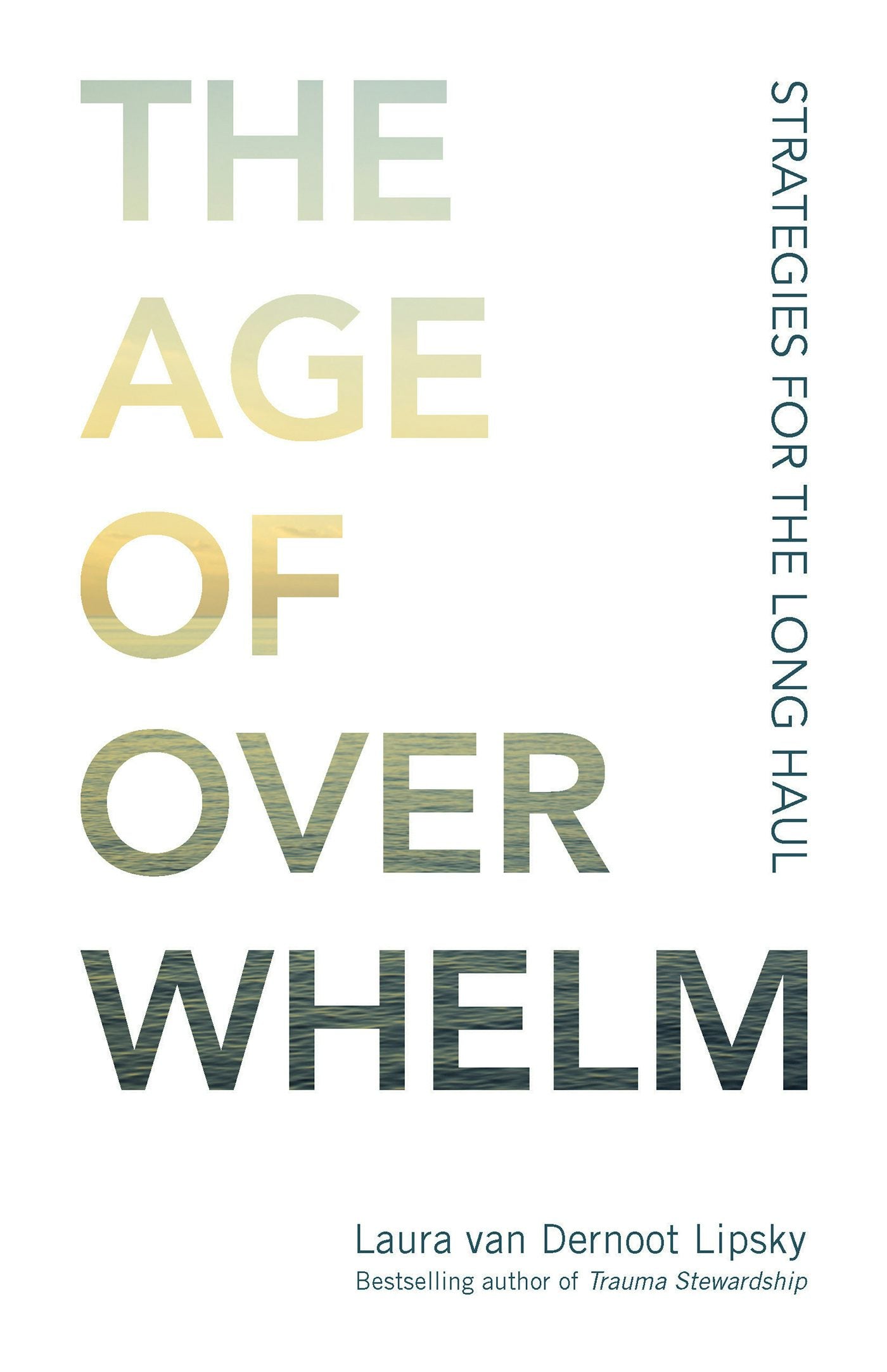 Cover image for The Age of Overwhelm, isbn: 9781523094738