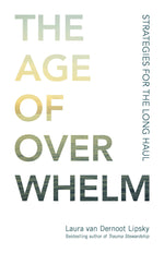 Cover image for The Age of Overwhelm, isbn: 9781523094738