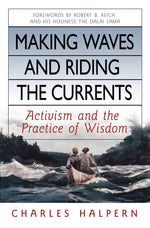 Cover image for Making Waves and Riding the Currents, isbn: 9781576754429