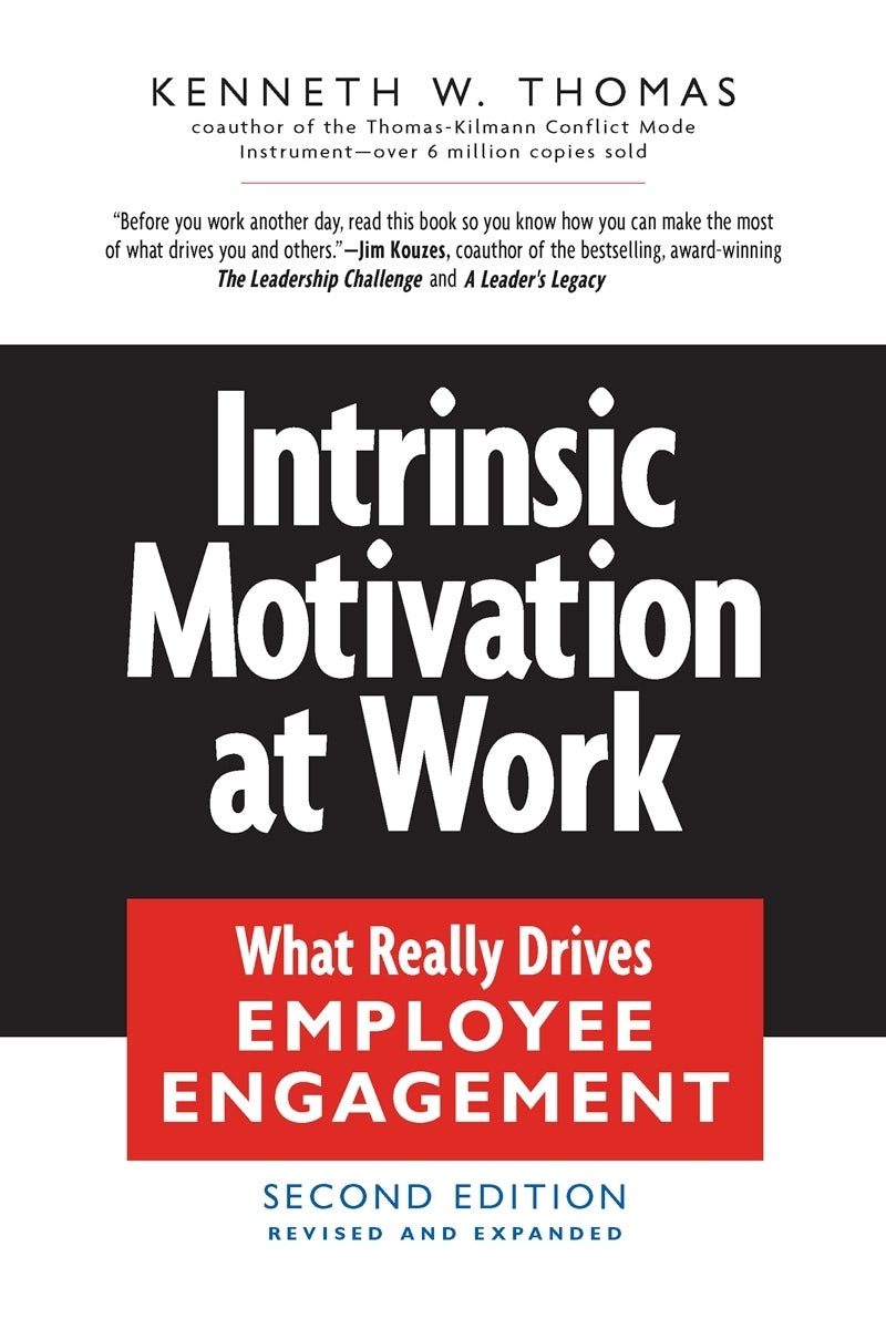 Cover image for Intrinsic Motivation at Work, isbn: 9781576755679
