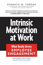 Cover image for Intrinsic Motivation at Work, isbn: 9781576755679
