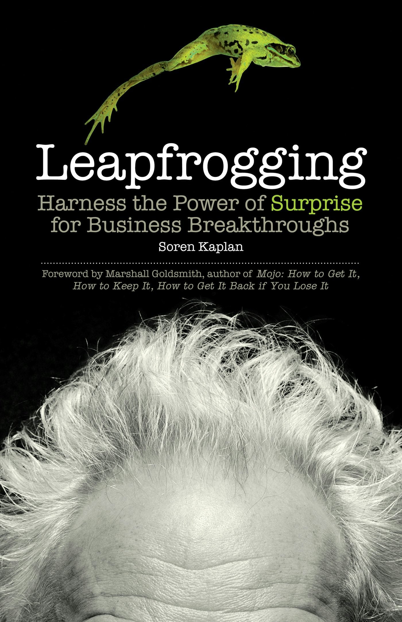 Cover image for Leapfrogging, isbn: 9781609944940