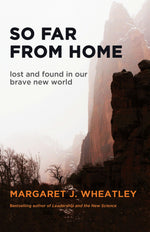 Cover image for So Far from Home, isbn: 9781609945374