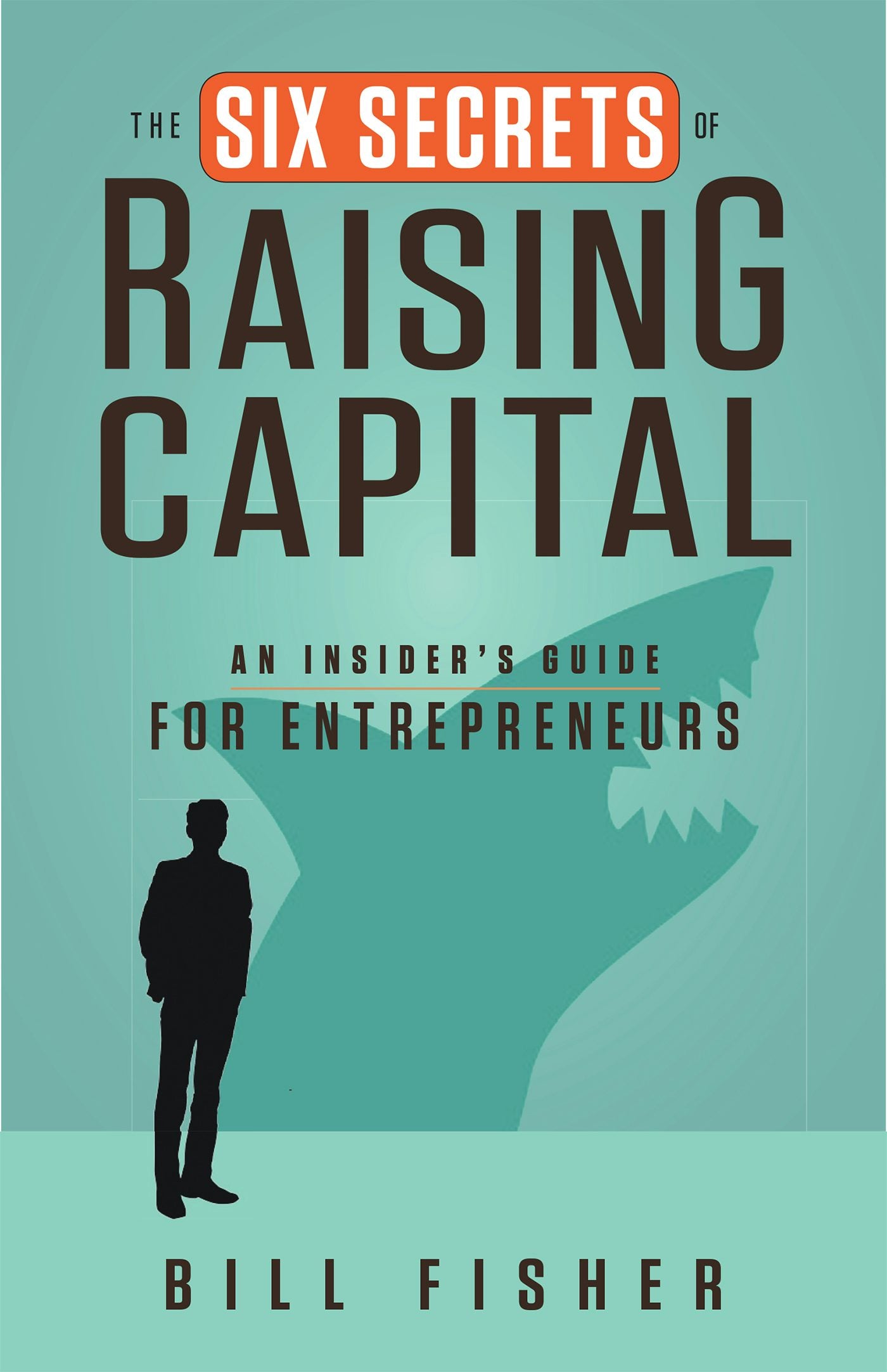 Cover image for The Six Secrets of Raising Capital, isbn: 9781626562394