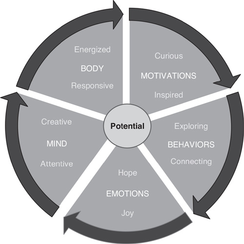 The Wheel of Self is now showing the developmental mode of self, with attributions assigned to each segment.