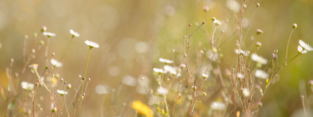 5 Surprising and Non-Traditional Ways of Healing