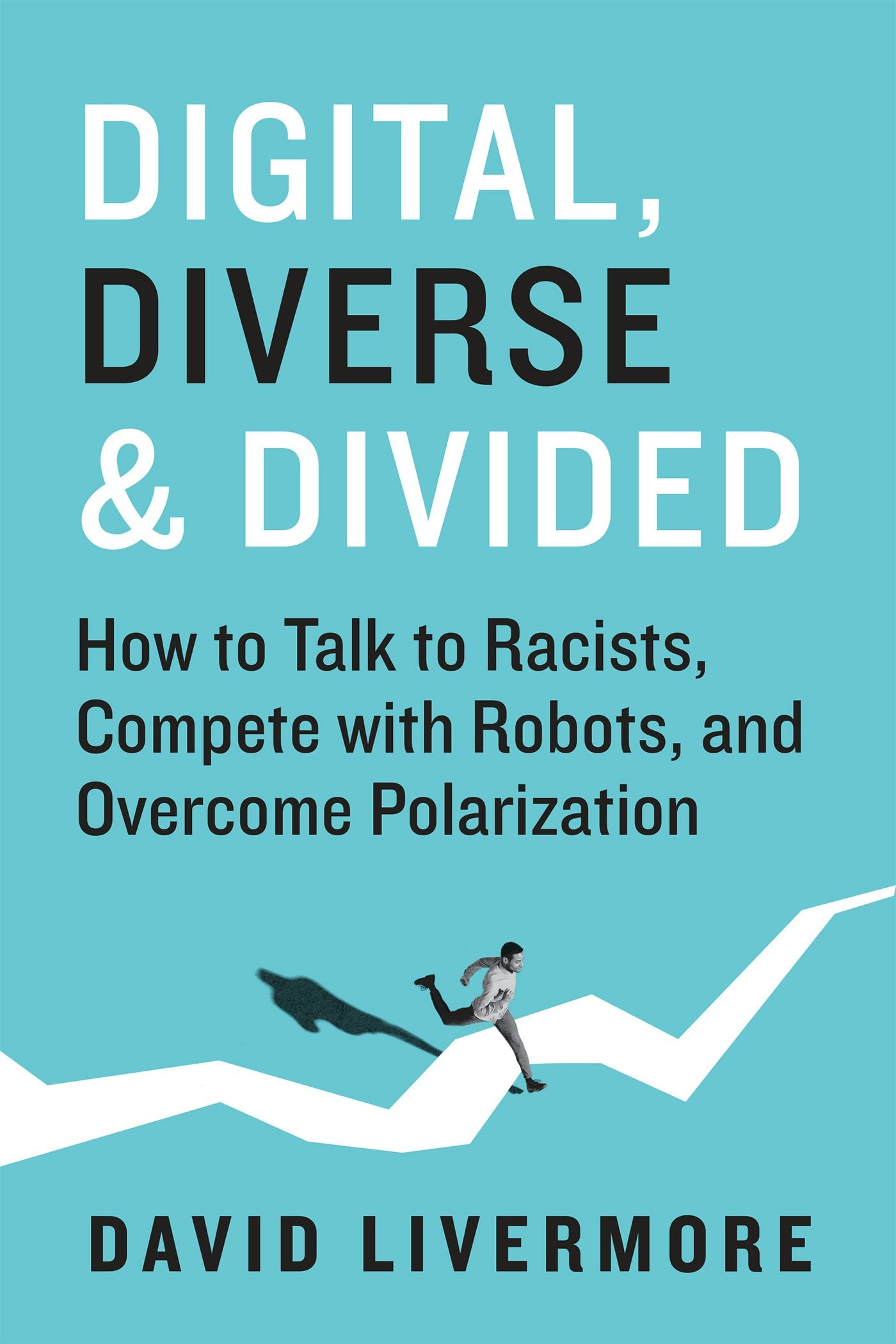 Cover image for Digital, Diverse & Divided, isbn: 9781523000920