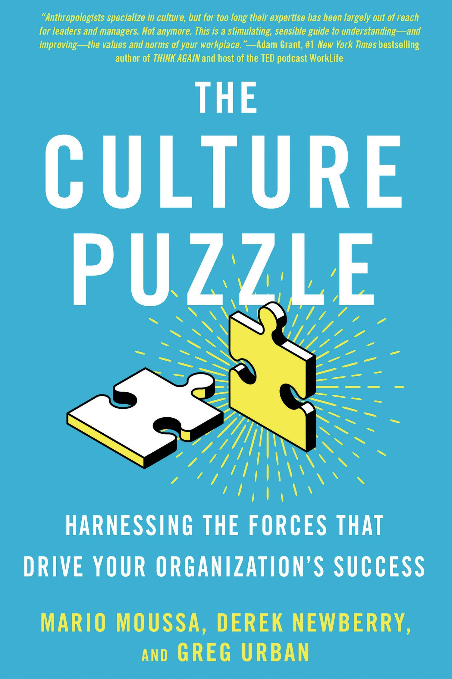 Cover image for The Culture Puzzle, isbn: 9781523091829