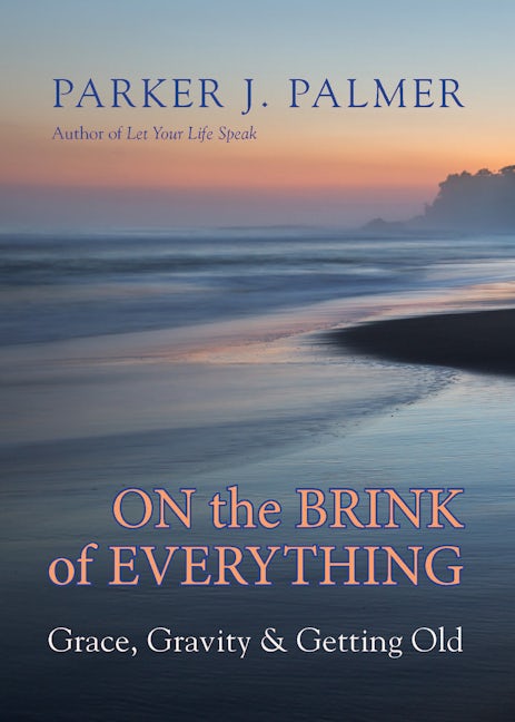 Cover image for On the Brink of Everything, isbn: 9781523095438