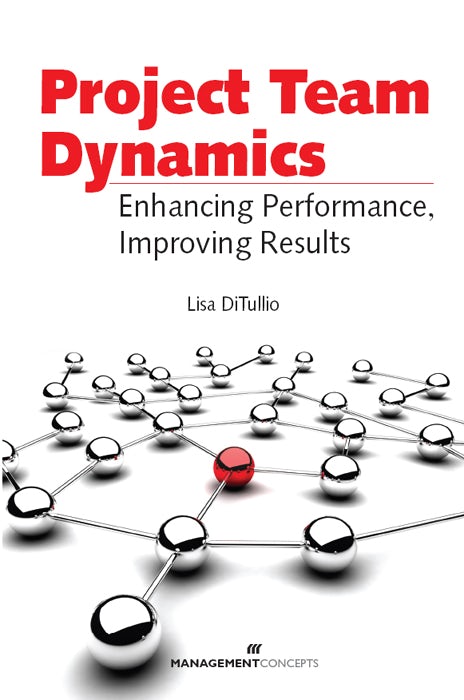 Cover image for Project Team Dynamics, isbn: 9781567262902