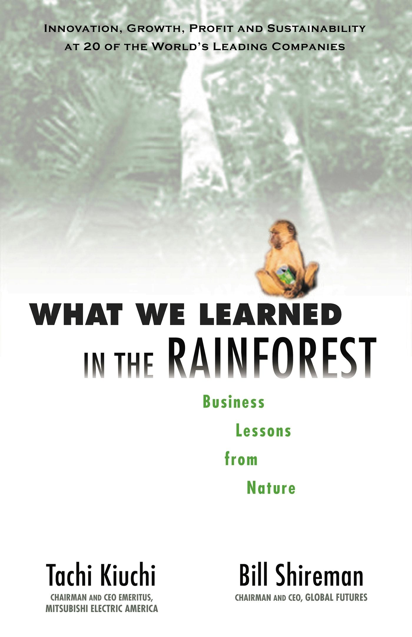 Cover image for What We Learned in the Rainforest, isbn: 9781576751275
