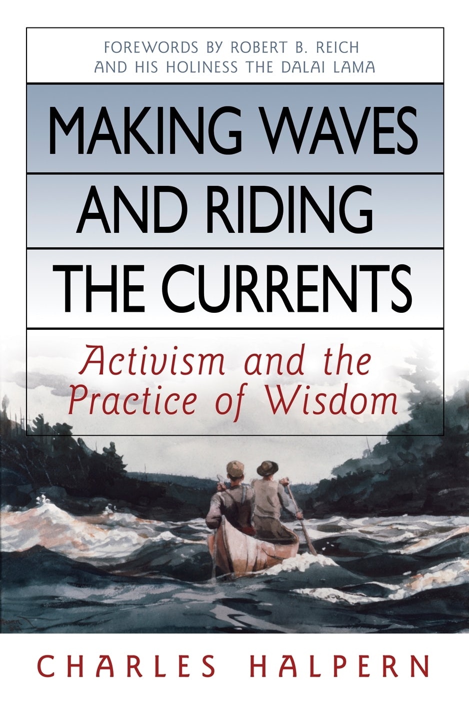 Cover image for Making Waves and Riding the Currents, isbn: 9781576754429