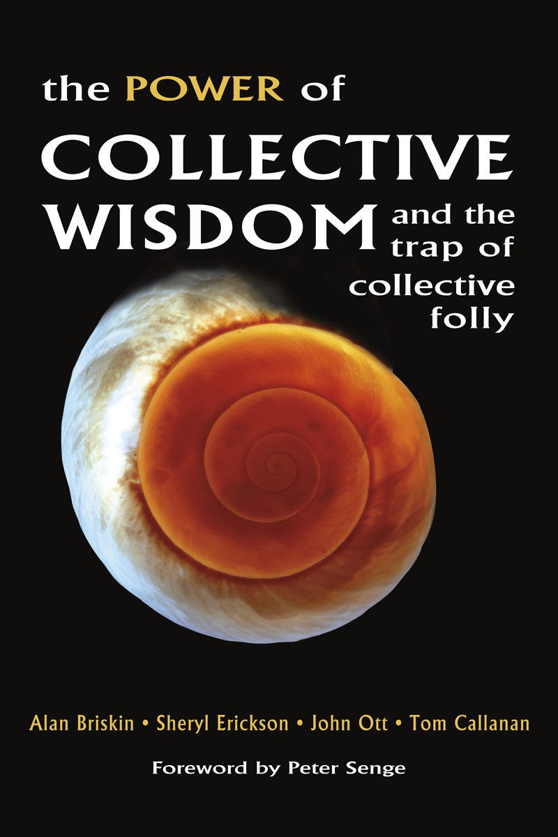 Cover image for The Power of Collective Wisdom, isbn: 9781605095752