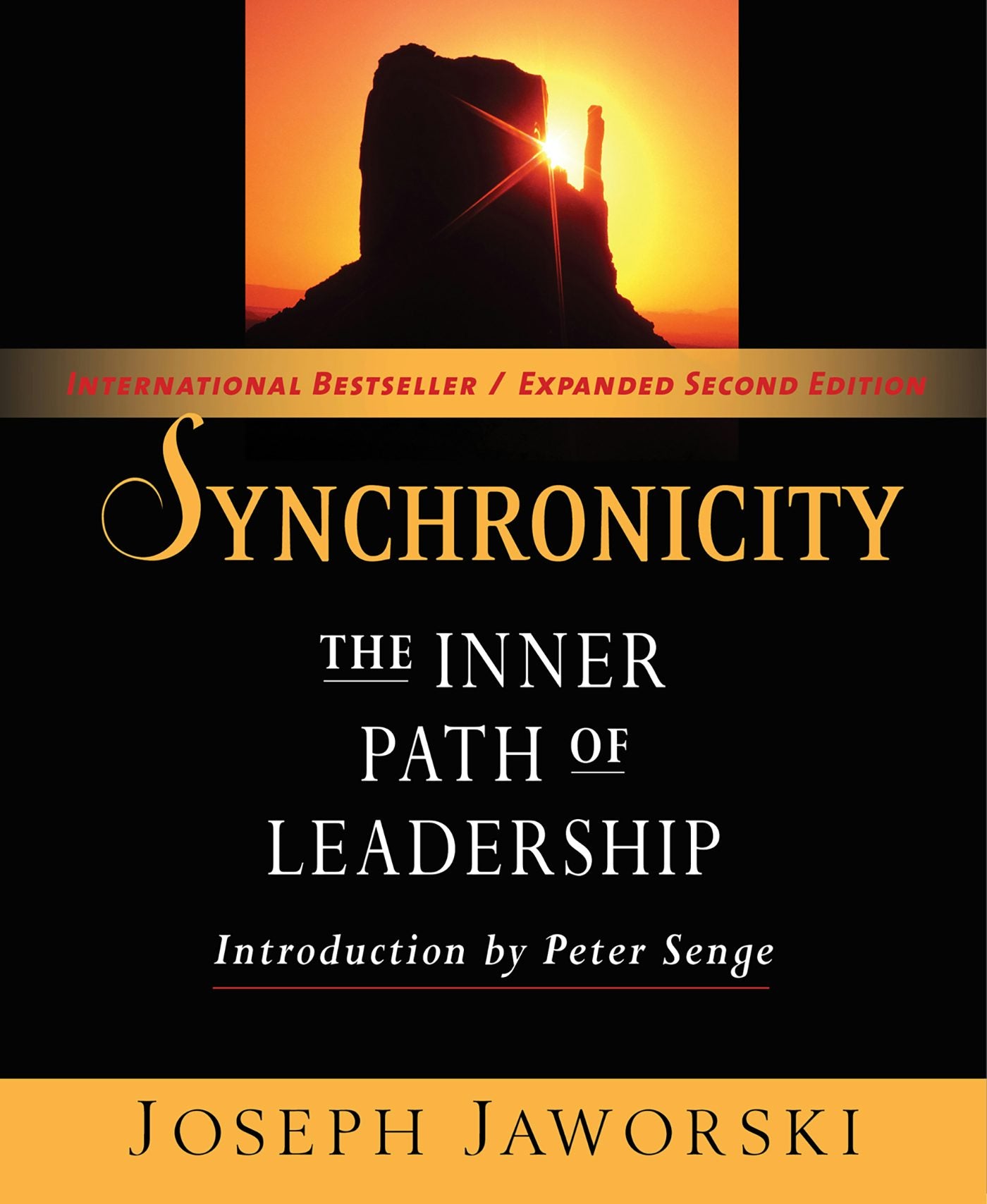 Cover image for Synchronicity, isbn: 9781609940171
