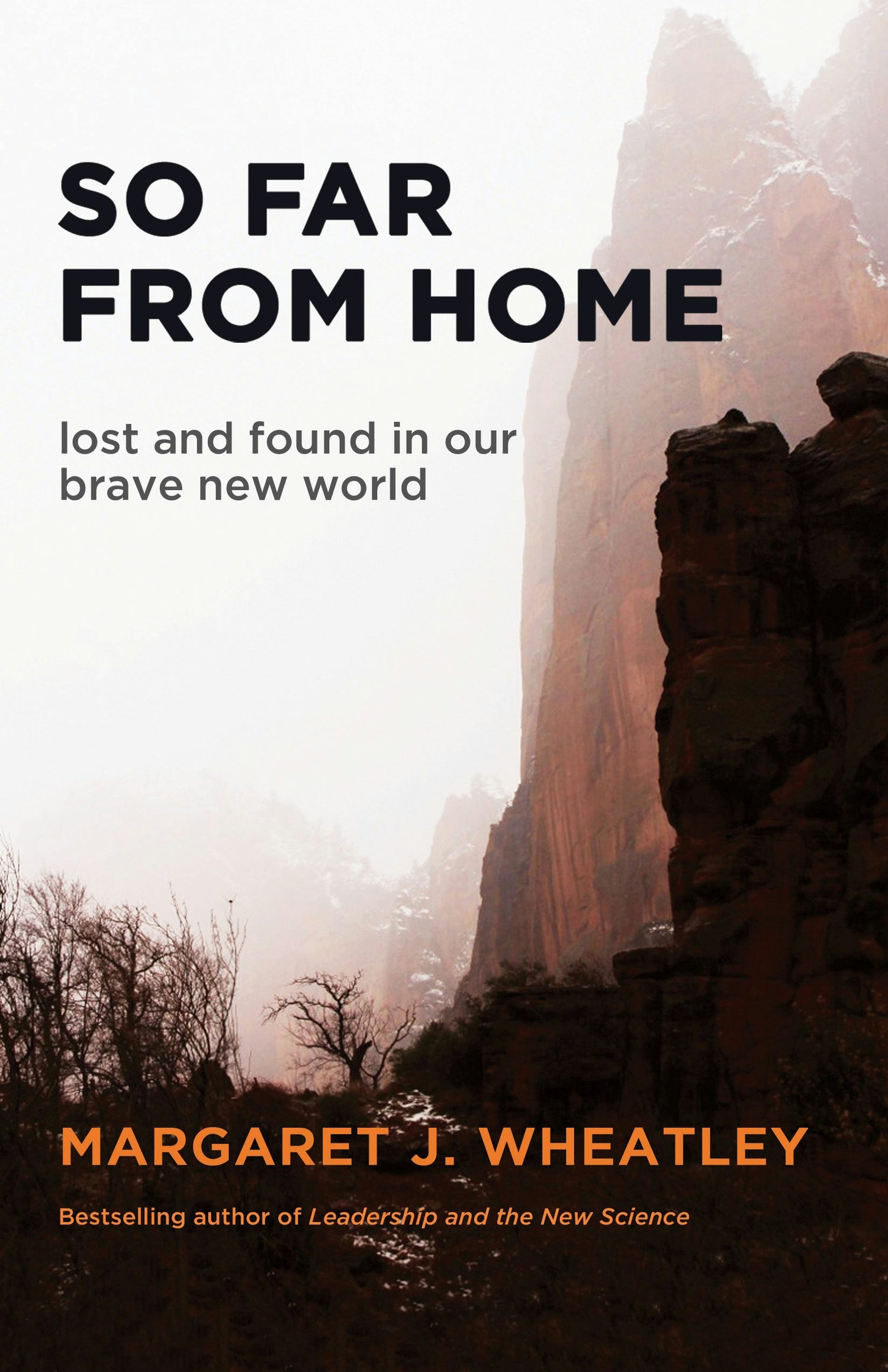 Cover image for So Far from Home, isbn: 9781609945367