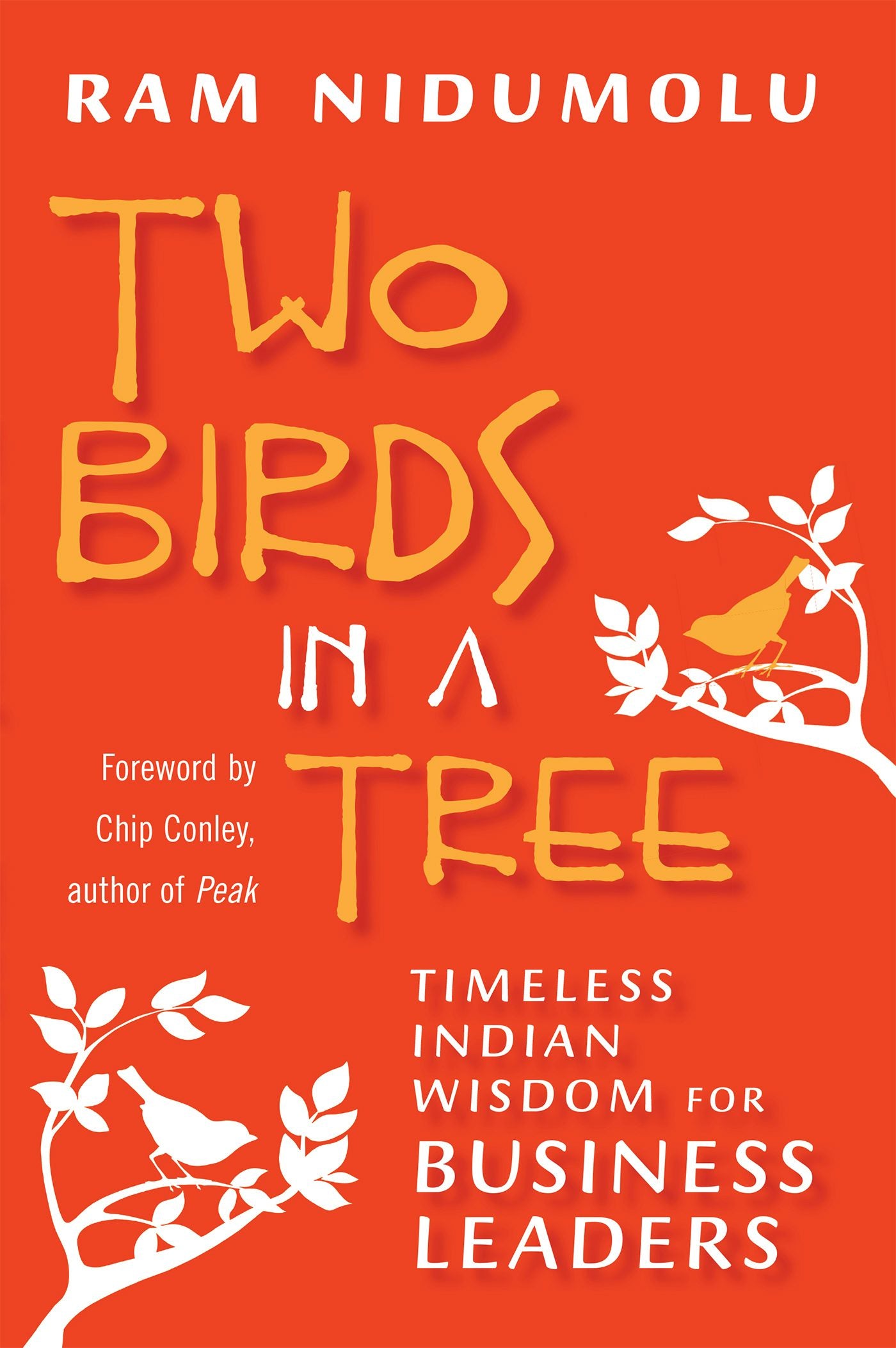 Cover image for Two Birds in a Tree, isbn: 9781609945770