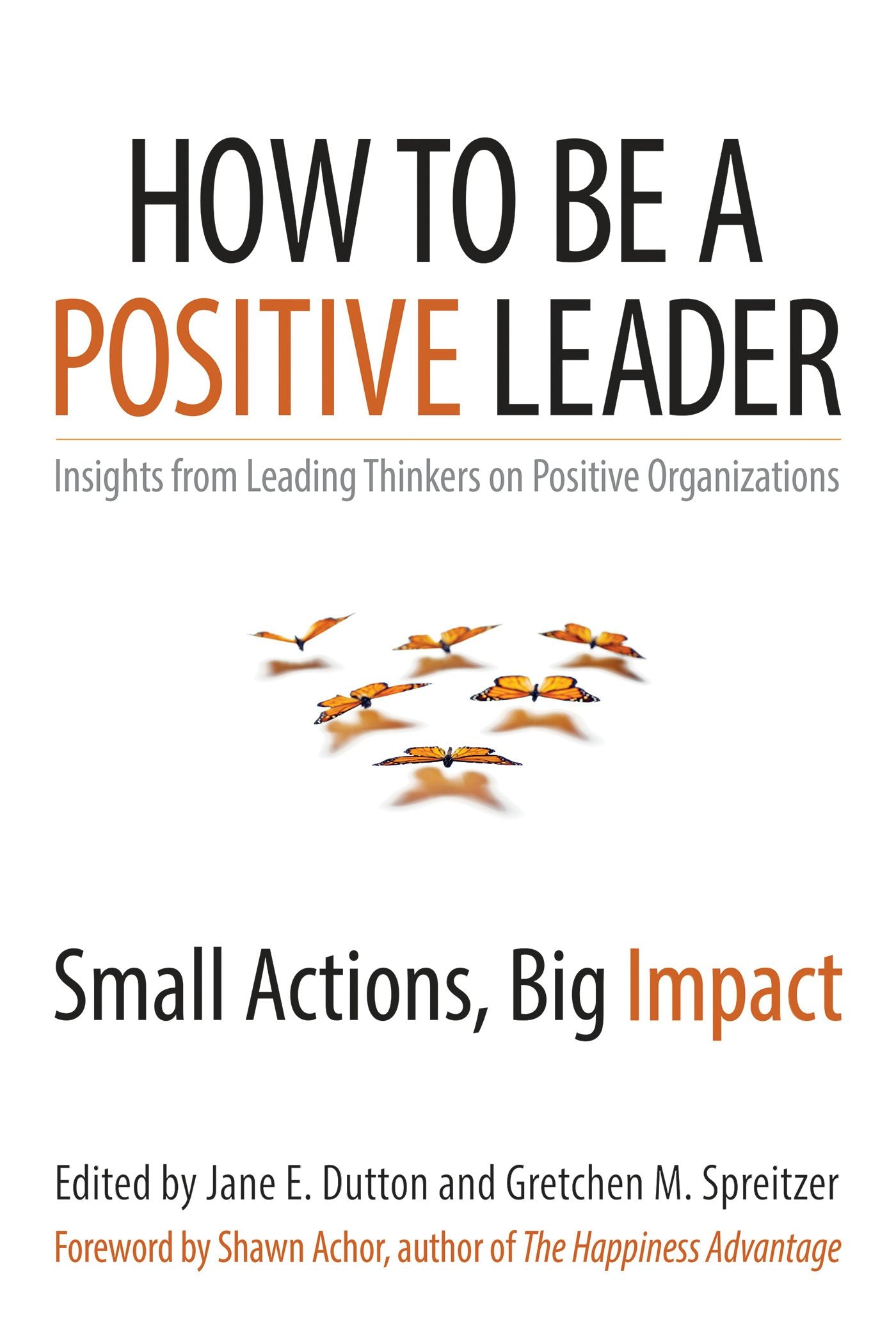 Cover image for How to Be a Positive Leader, isbn: 9781626560284