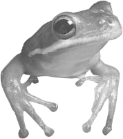 Images